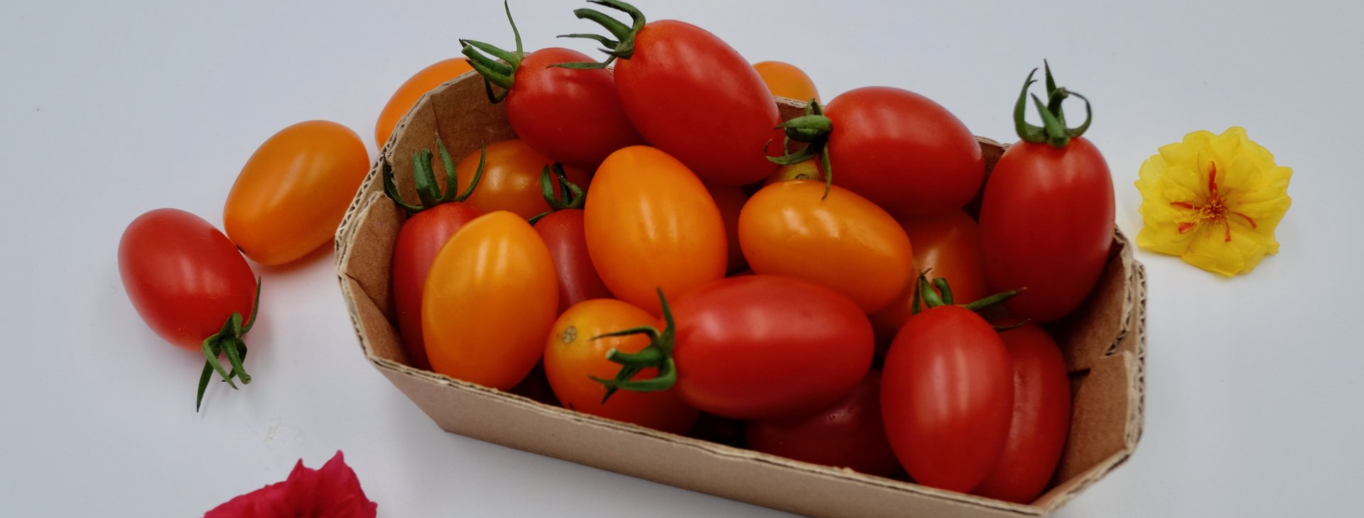 Vaschette per alimenti in cartoncino microonda